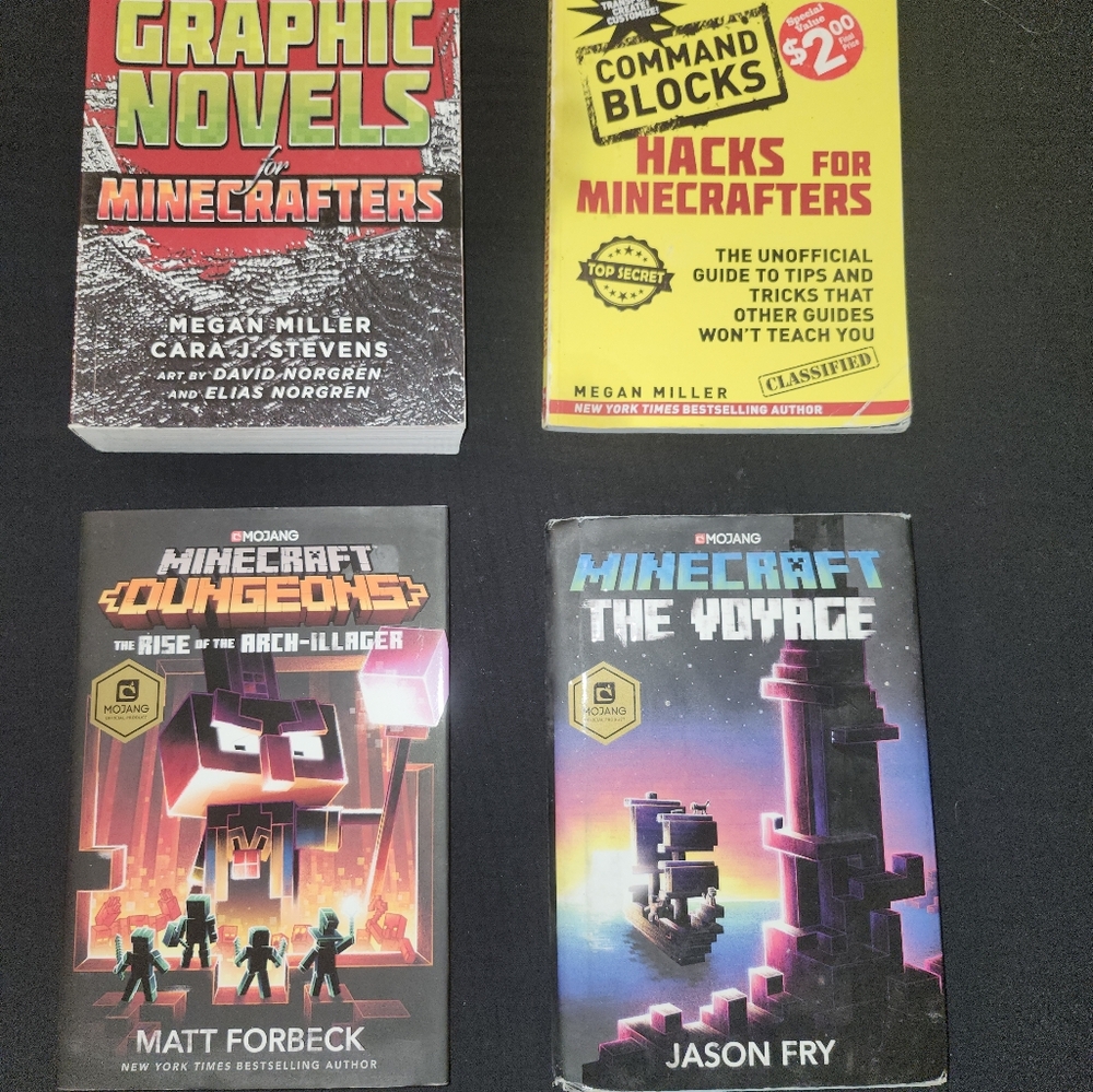 Minecraft books set of 4